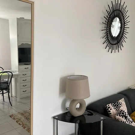 Apartment Evasion Campagnarde Avec Jardin Et Parking, Proche De Eurexpo Et Groupamastadium