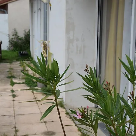 Evasion Campagnarde Avec Jardin Et Parking, Proche De Eurexpo Et Groupamastadium