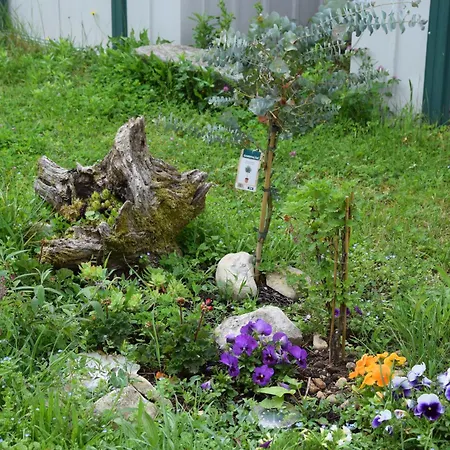 Evasion Campagnarde Avec Jardin Et Parking, Proche De Eurexpo Et Groupamastadium